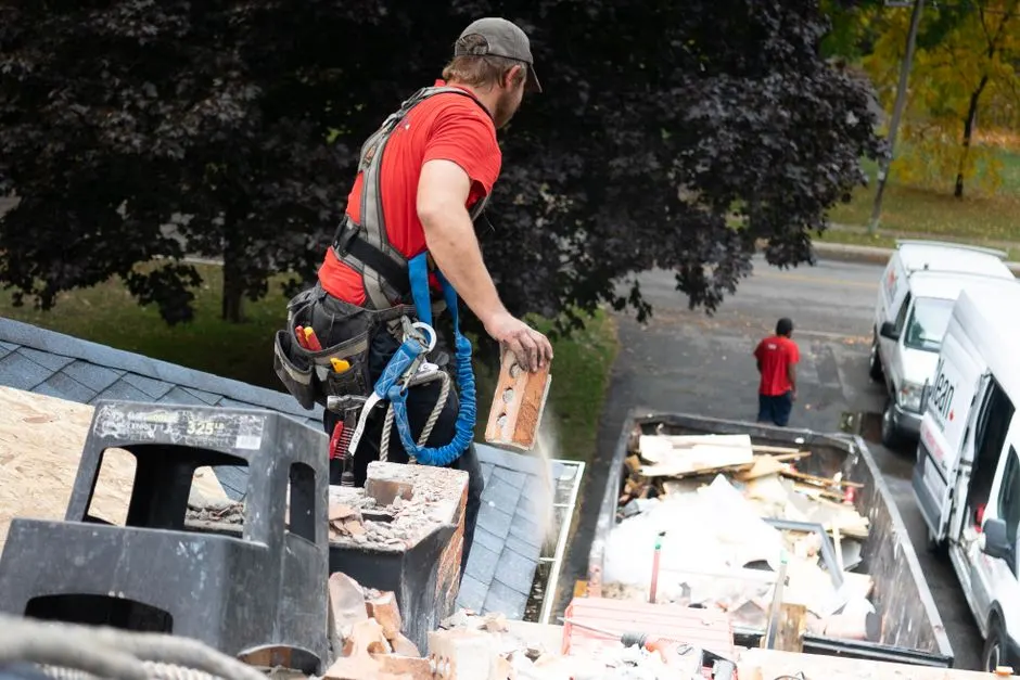 professional roofing services